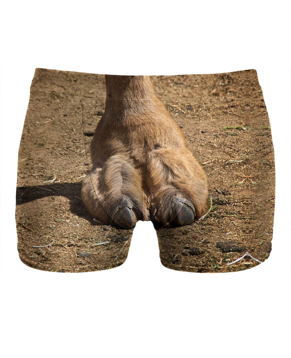 Cameltoe Underwear – thanhuyentee